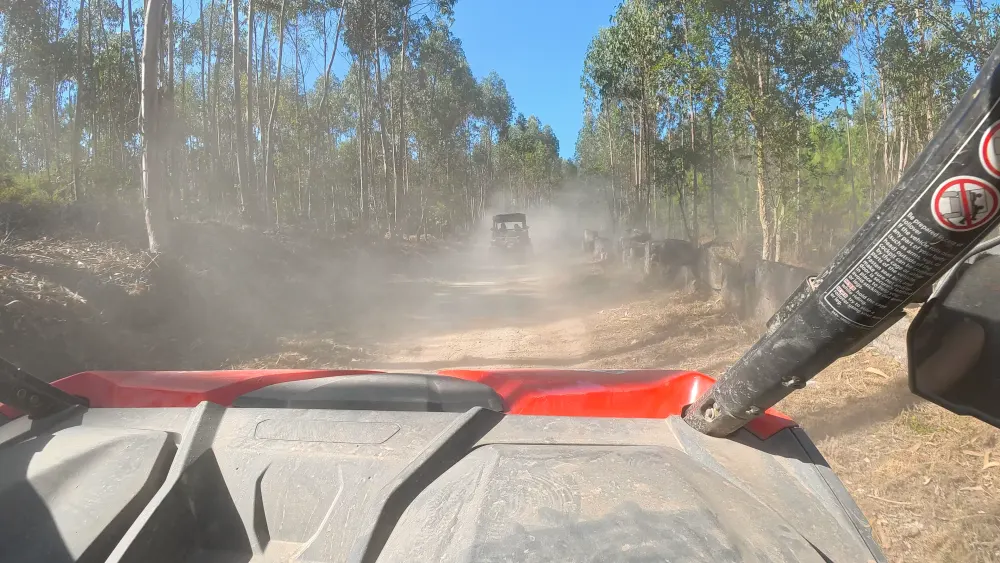 A wall of dust swallowing the forest track